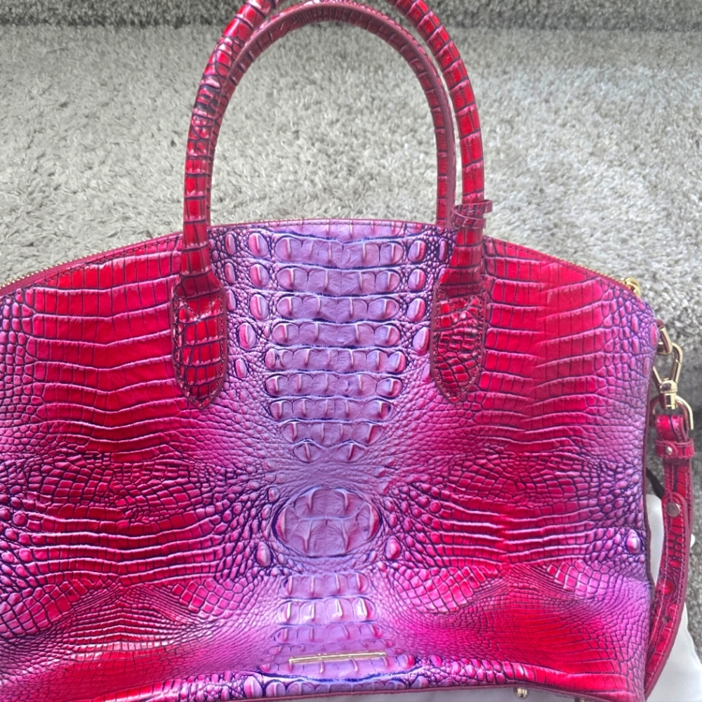 New Brahmin purse